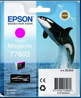 EPSON ink bar ULTRACHROME HD - Vivid Magenta - T7603