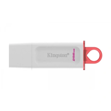 Kingston 256GB USB3.2 Gen1 DataTraveler Exodia