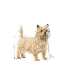 Royal Canin Light Weight Care Mini granule pro dospělé psy s hmotností do 10 kg