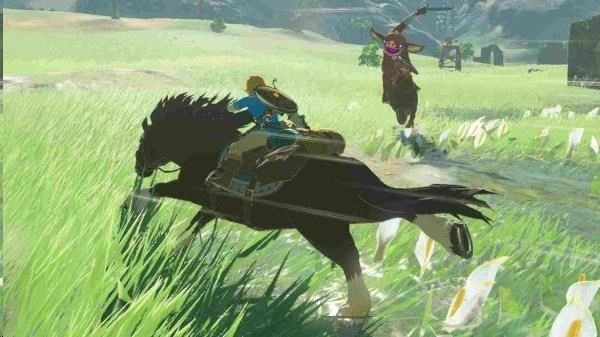 Nintendo The Legend of Zelda: Breath of the Wild - NS