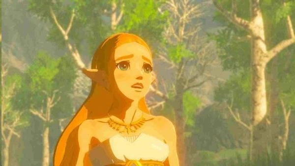 Nintendo The Legend of Zelda: Breath of the Wild - NS