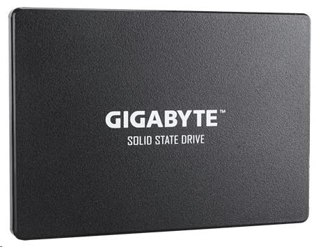 GIGABYTE SSD 1TB SATA (GP-GSTFS31100TNTD)