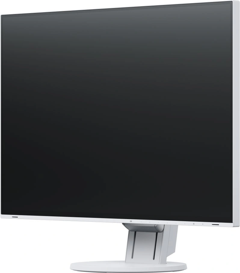 EIZO EV2460-WT - 24" LED monitor