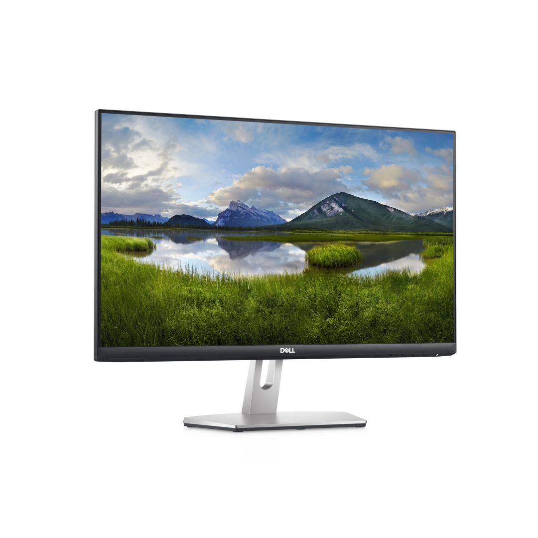 Dell S2421HN - LCD monitor 24"