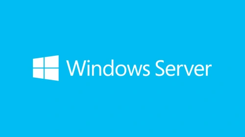 Microsoft Windows Server CAL 2019 EN 1pk 5 User CAL, OEM