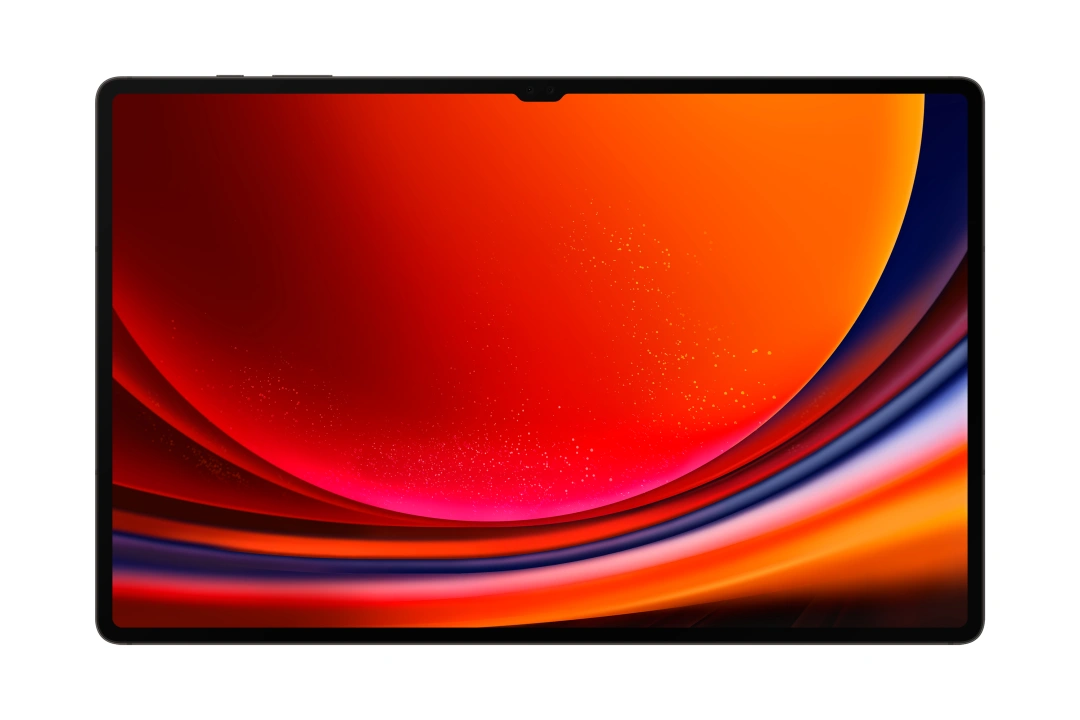 Samsung Galaxy Tab S9 Ultra 12/512 GB, Graphite