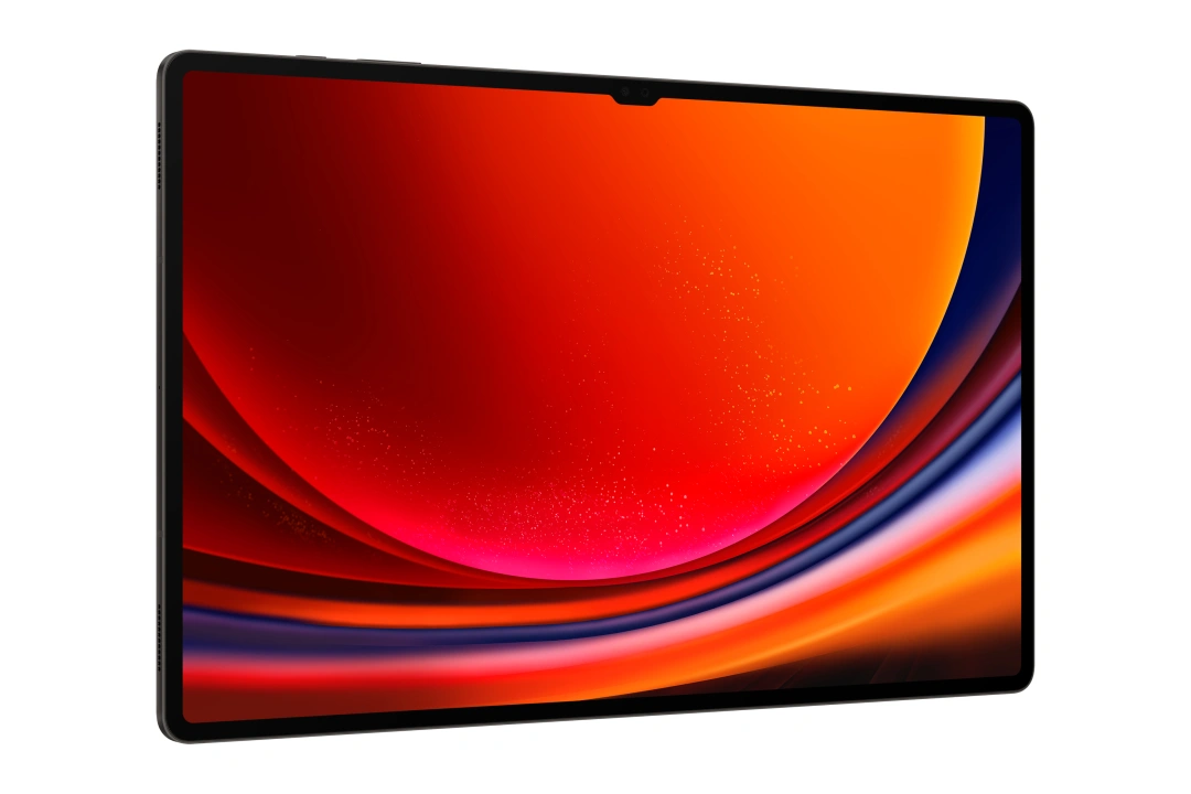 Samsung Galaxy Tab S9 Ultra 12/512 GB, Graphite