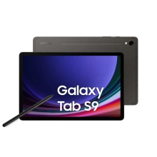 Samsung Galaxy Tab S9 12/256 GB, Gray