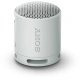Sony SRS-XB100, šedý