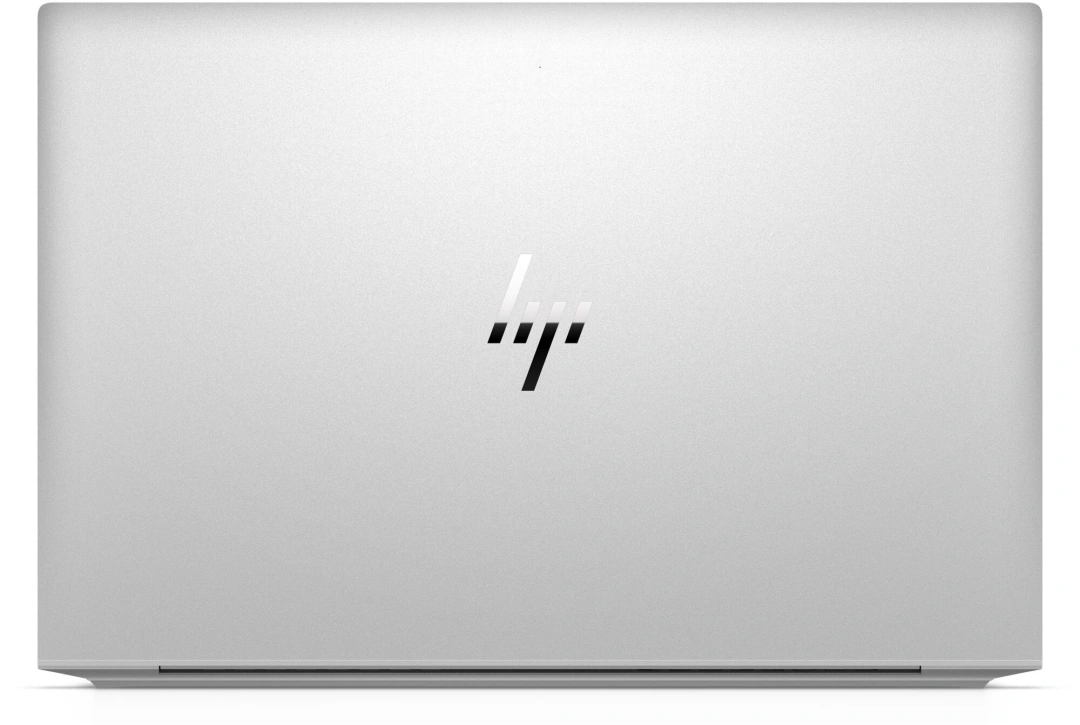 HP EliteBook 845 G8, stříbrný (48R69EA)